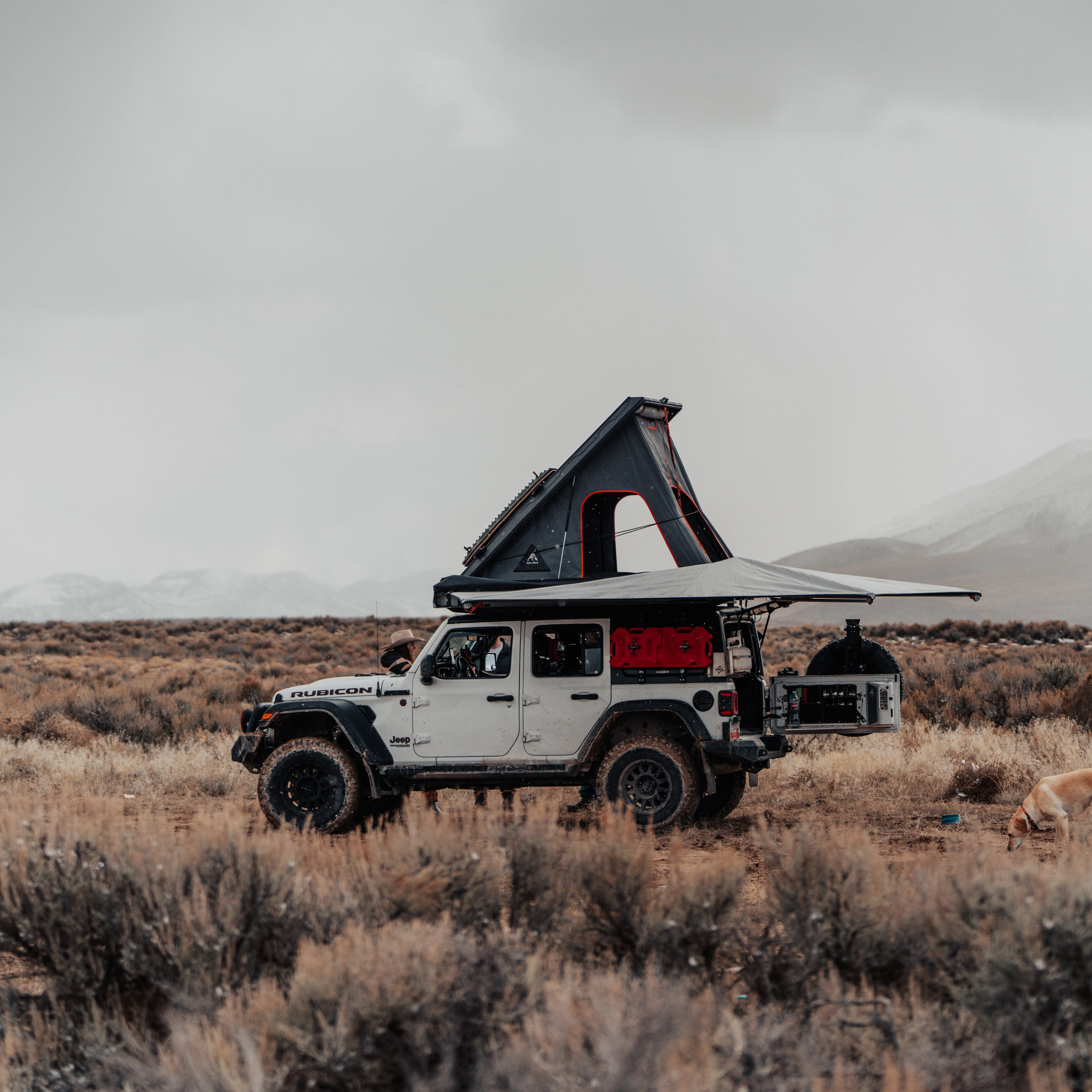Trailrax Pak Rax TrailRax Single Side Pak Rax for the Jeep Wrangler JL (2018-Current ...